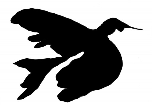 Kleon Medugorac Freikonzert Logo 