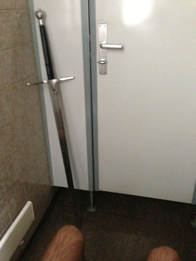 Kleon Medugorac Me on Toilet with Sword 