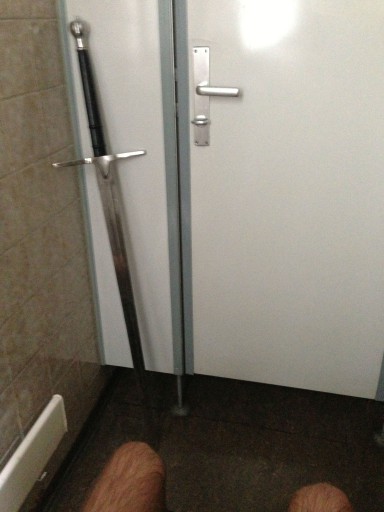 Kleon Medugorac Me on Toilet with Sword free-work photo  