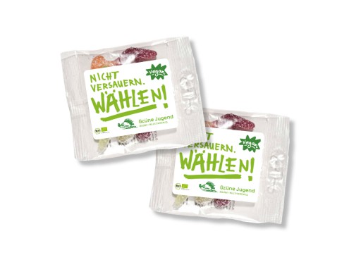 Kleon Medugorac Grüne Jugend Wahlkampfbus 